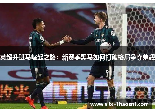 英超升班马崛起之路：新赛季黑马如何打破格局争夺荣耀