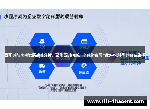 西甲球队未来发展战略分析:聚焦青训创新、全球化布局与数字化转型的融合路径 西甲球队未来发展战略分析:聚焦青训创新、全球化布局与数字化转型的融合路径