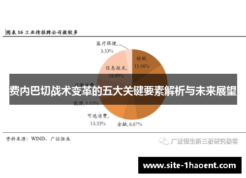 费内巴切战术变革的五大关键要素解析与未来展望
