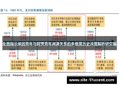全面揭示埃因青年与阿贾青年渊源关系的多维度历史深度解析研究篇