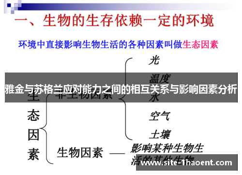 雅金与苏格兰应对能力之间的相互关系与影响因素分析 雅金与苏格兰应对能力之间的相互关系与影响因素分析