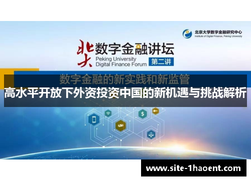 高水平开放下外资投资中国的新机遇与挑战解析